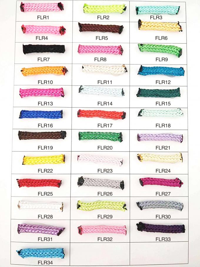 Resistente UV rampicante del poliestere di combinazione della corda della prova netta del vandalo 0