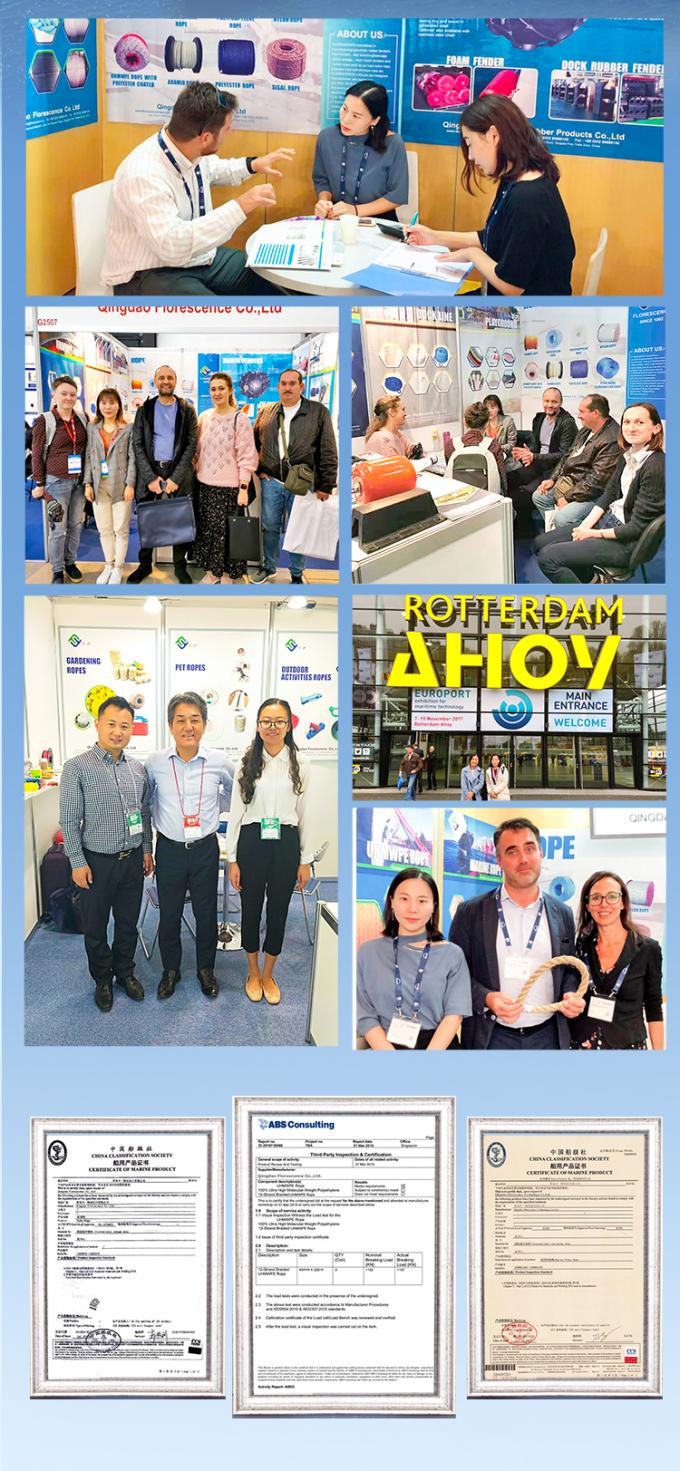 ABS approvato 12 fili UHMWPE corda con copertura in poliestere doppio intrecciato 32mmx500m 10