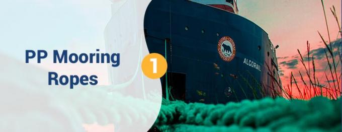 Al dettaglio 220 M Polipropilene PP bianco ad alta resistenza 8 fili 68 mm corda di attracco 0