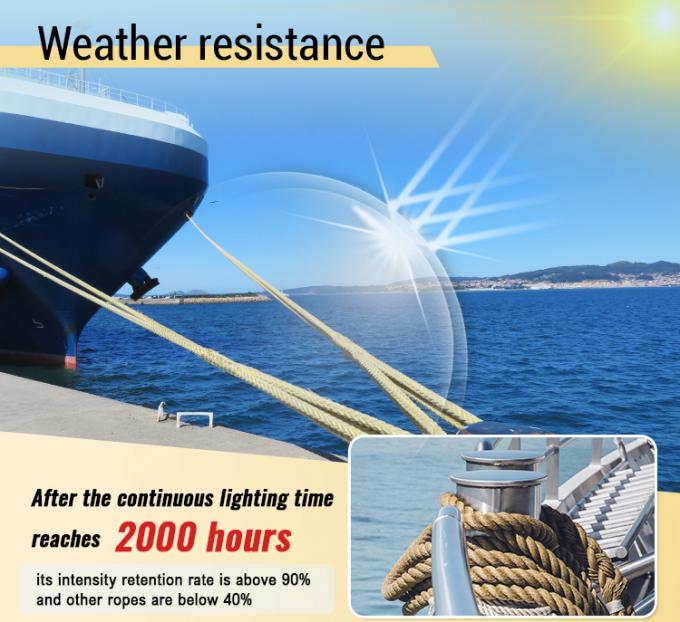 Alta resistenza 10mm 12mm 12 Strand Uhmwpe Fibre Winch Braid Line Marine Sail Rope Yacht 1