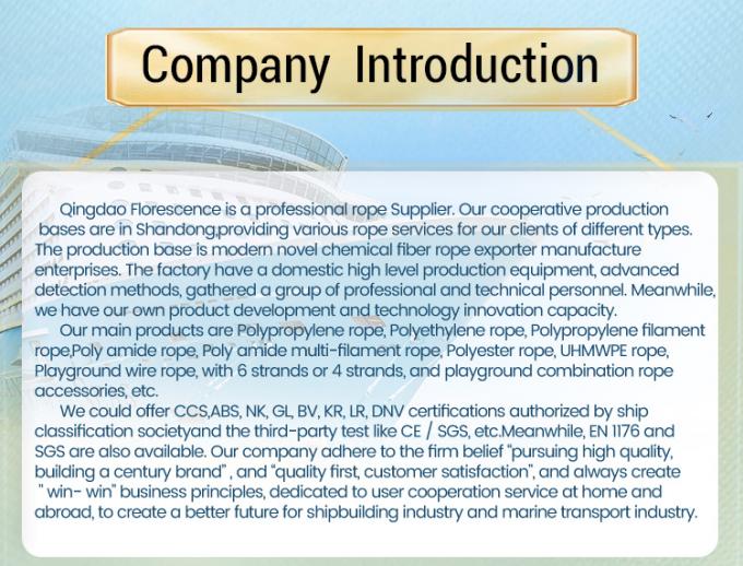 Alta resistenza 10mm 12mm 12 Strand Uhmwpe Fibre Winch Braid Line Marine Sail Rope Yacht 8