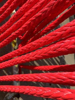 Alta trazione 12 fili intrecciati Uhmwpe corda di ormeggio della nave Vinicolo corda di traino