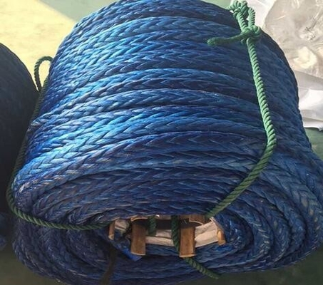 Plasma eccellente Dyneema UHMWPE di Amsteel della corda del filo di rendimento elevato 12 di spettri